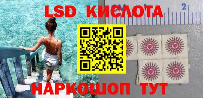 амф Кандалакша