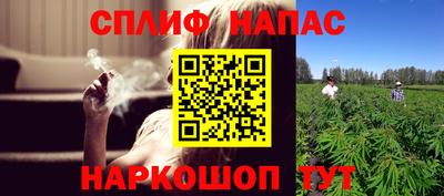 сатива Камышлов