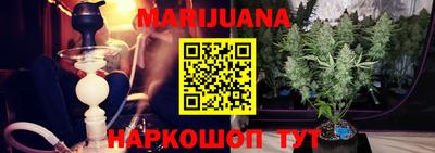 амф Кандалакша